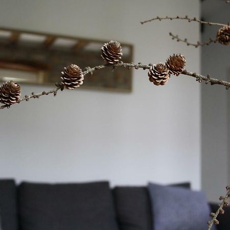 Eguzkilorea Hondarribia Luaran gambar